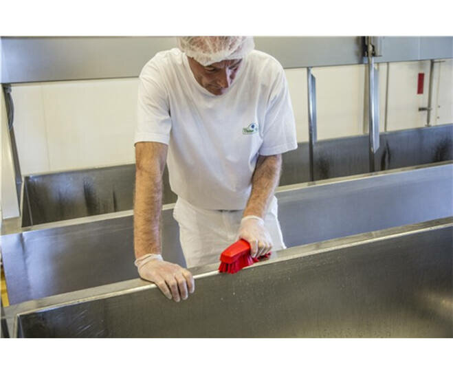 Vikan Hygi&euml;ne Harde Werkborstel Groot 200mm Rood