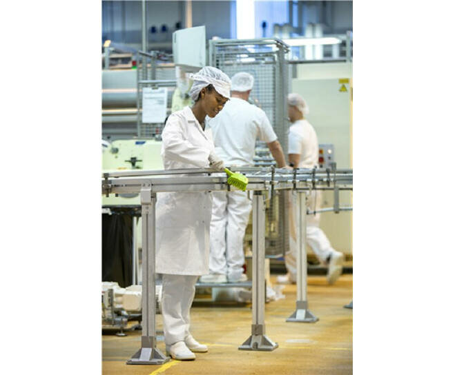 Vikan Harde Afwasborstel Met Korte Steel 270mm Limoen