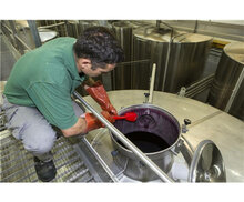 Vikan Afwasborstel Met Lange Steel 415mm Rood