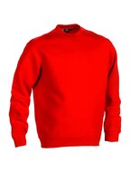 21MSW1401 Rood